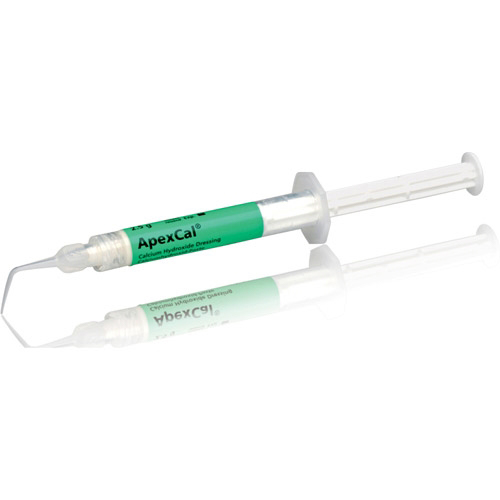 ApexCal Paste Temporary Sealer 2.5 Gm Ea