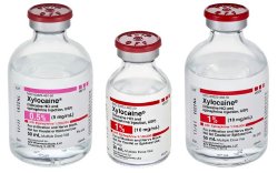 Xylocaine® with Epinephrine Lidocaine HCl / Epinephrine 1%