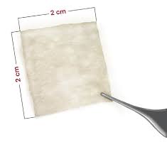 Skin Graft MERAKIS THERAPUETICS Q4343
