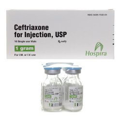 CEFTRIAXONE 1G/15ML VIAL 10/BX Hospira