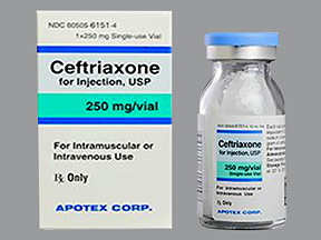 CEFTRIAXONE Sodium INJ 250MG 10ML USA Apotex