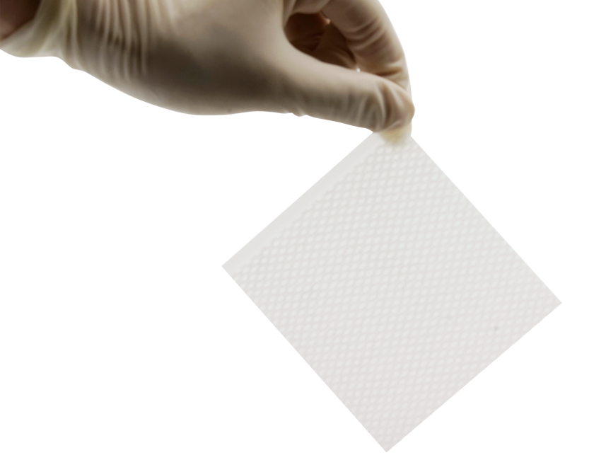 Skin Graft BIO LABS Q4205