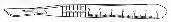Scalpel Bard-Parker™ Conventional No. 11 Stainless Steel / Plastic Nonslip Grip Handle with