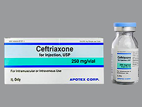 CEFTRIAXONE SODIUM INJ 250MG 10X10ML USA Apotex