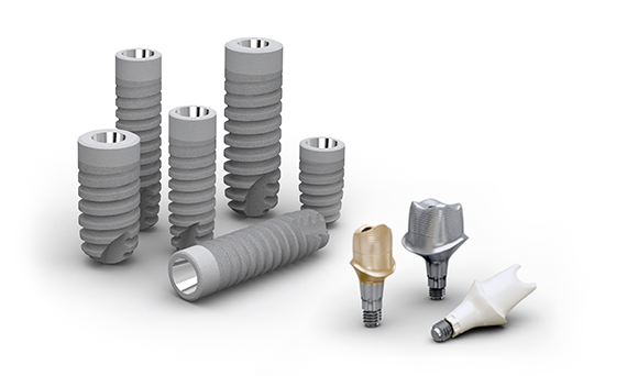 Ankylos C/X Implant A 6.6