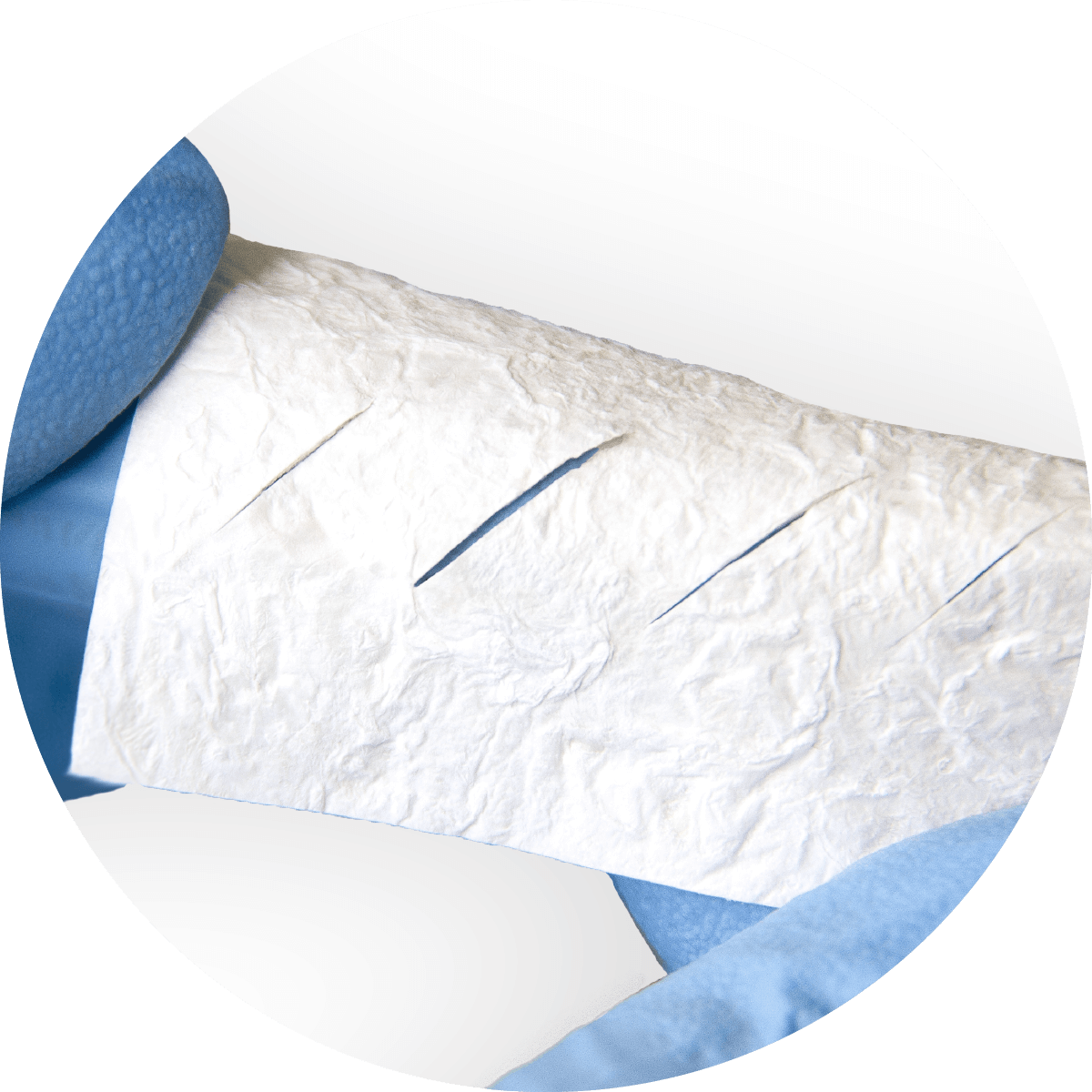 Skin Graft STIMLABS Q4229